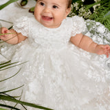 Livia - SB20