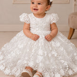 Livia - SB20