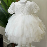 Butterfly - B131